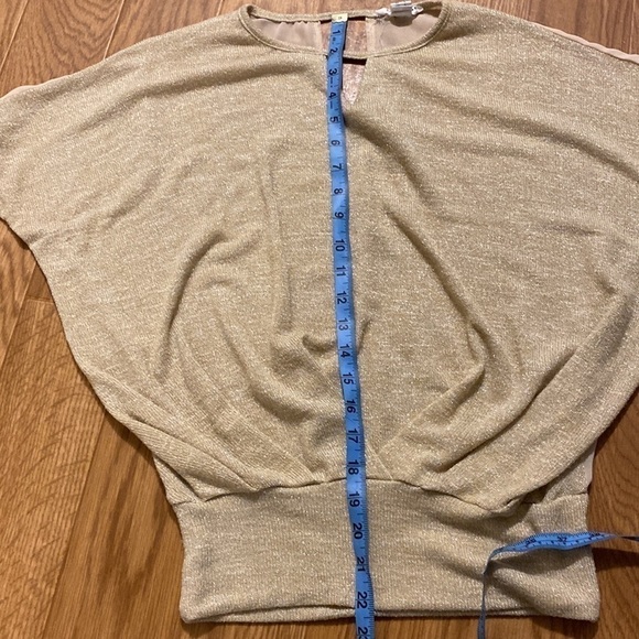 Streetwear Society Short Sleeved Sheer Paneled  Oatmeal Woman's Top (Size Small) - Picture 6 of 7